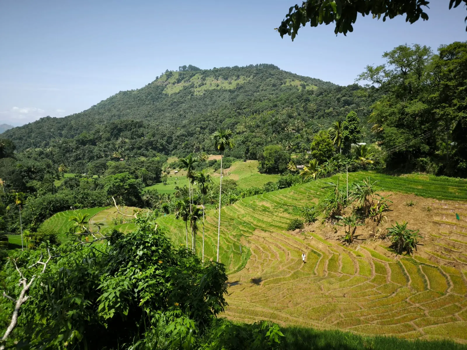 Contact Kandy Trekking Tours