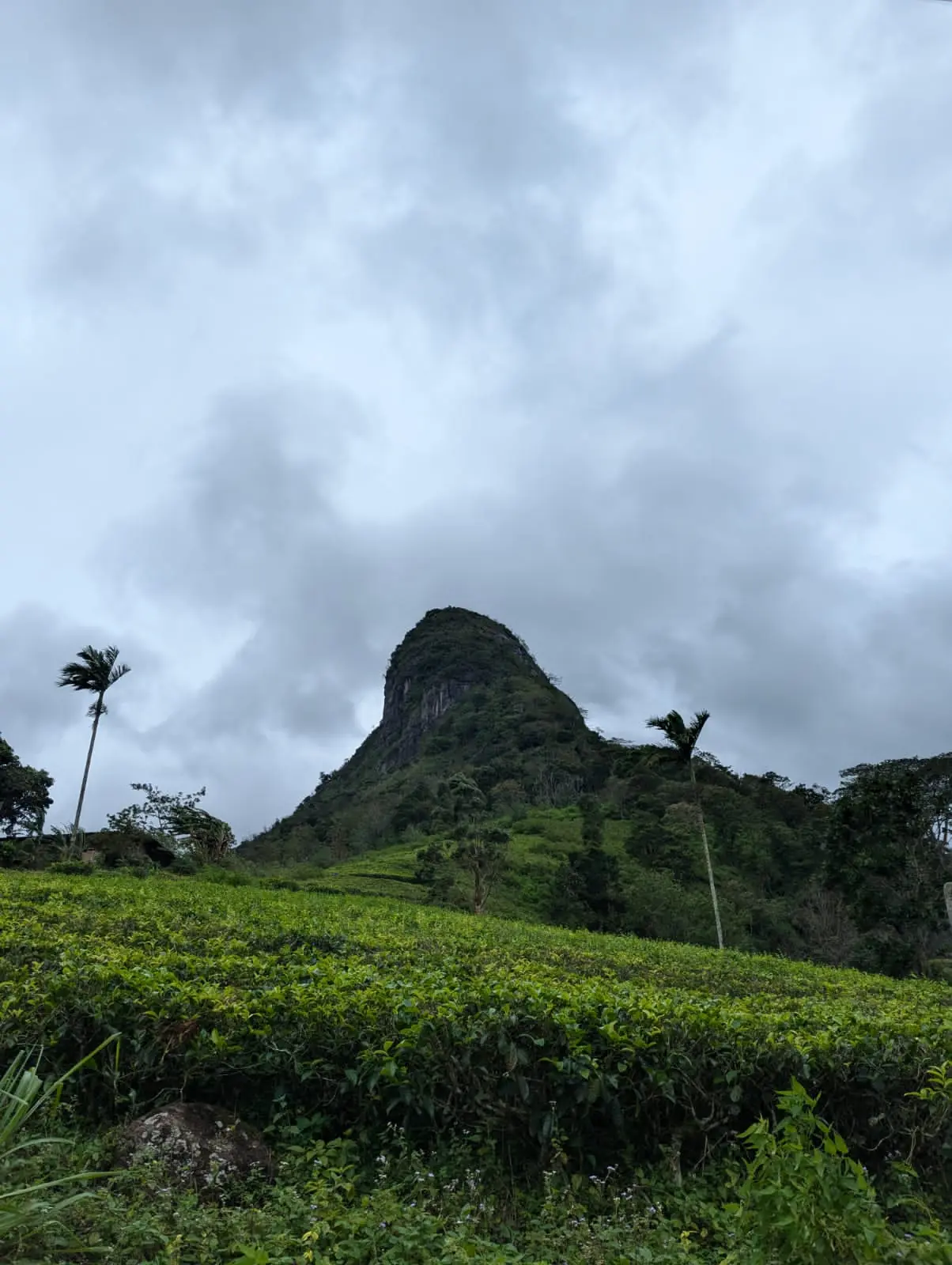 Scenic Kandy Valley View