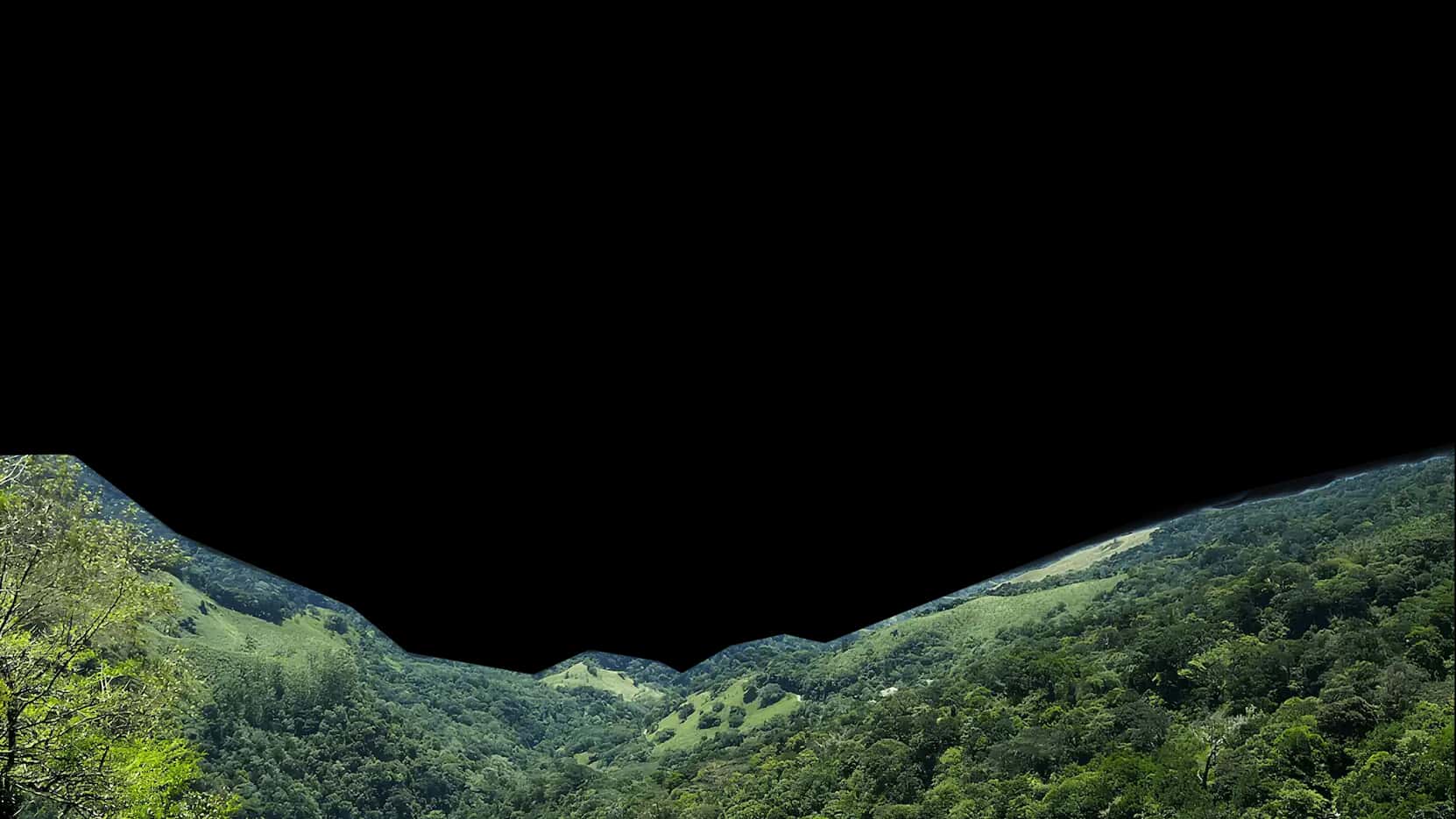 Knuckles Forest & Tea Mountain Ridge