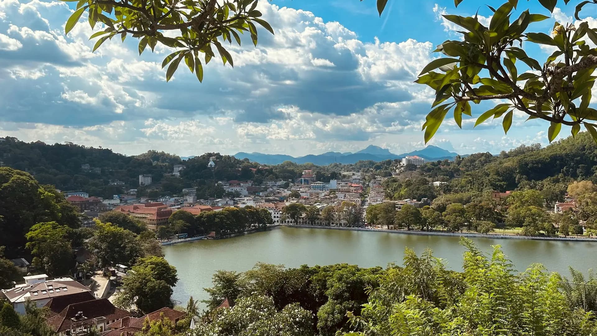 Kandy View