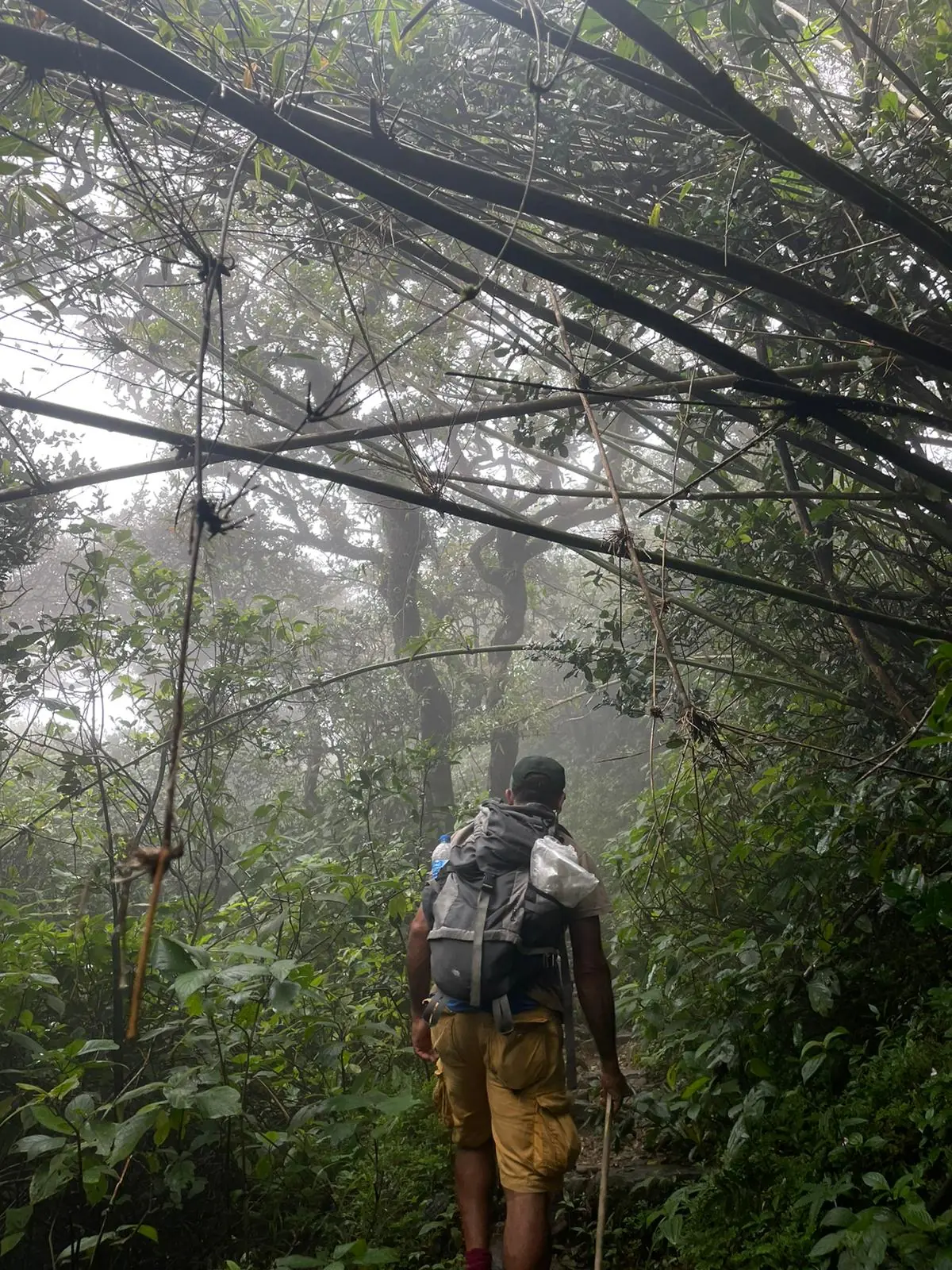 Misty Knuckles Cloud Forest Trekking View