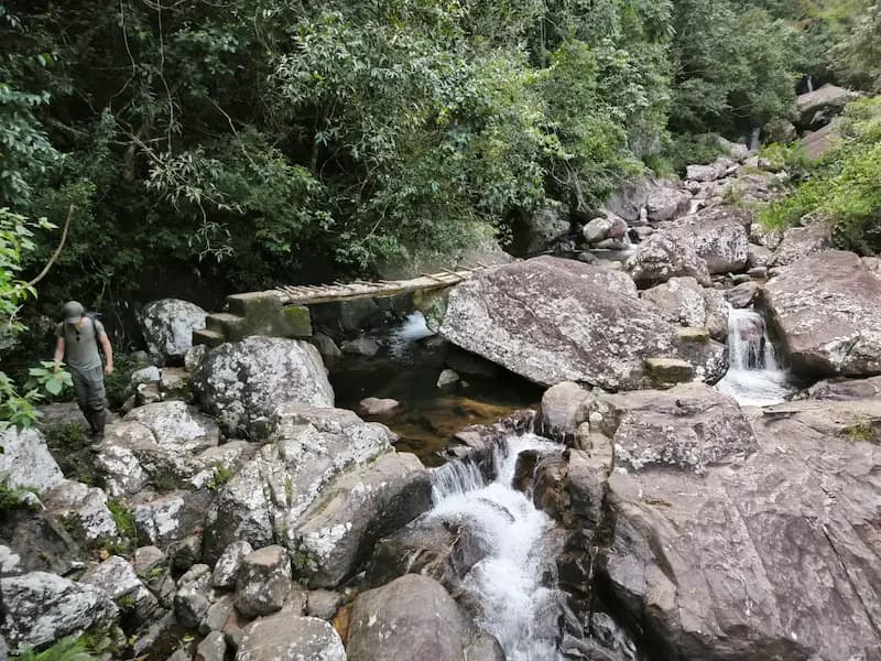 Knuckles Cloud Forest Trek