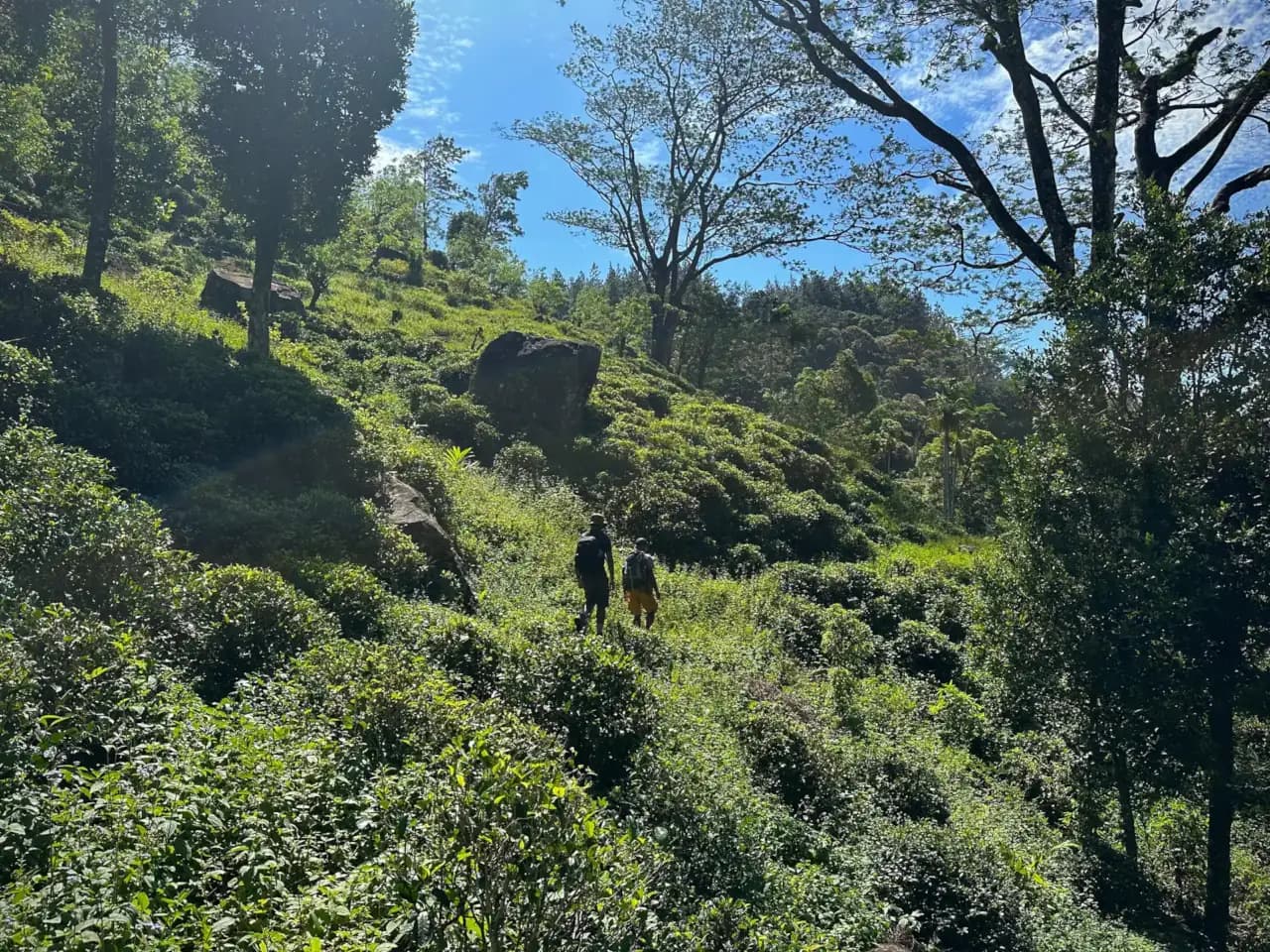 Kandy Trekking Tours collection - Scenic Mountain View